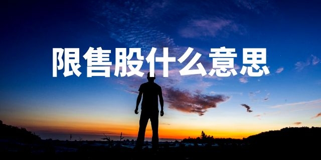 限售股什么意思