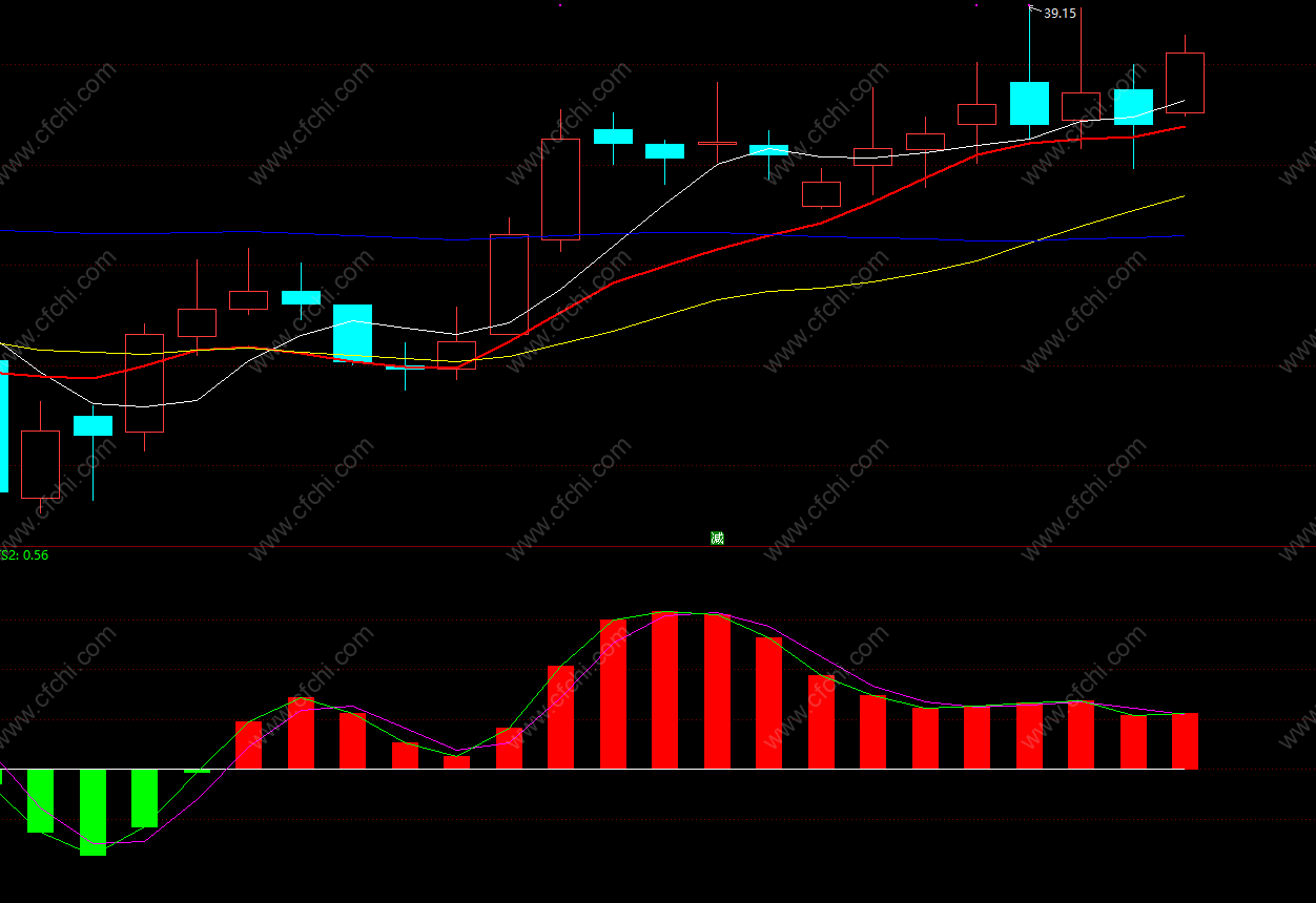 炒股选股的书籍