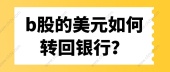 b股的美元如何转回银行？