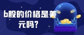 b股的价格是美元吗