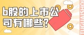 b股的上市公司有哪些？