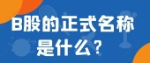 B股的正式名称是什么？