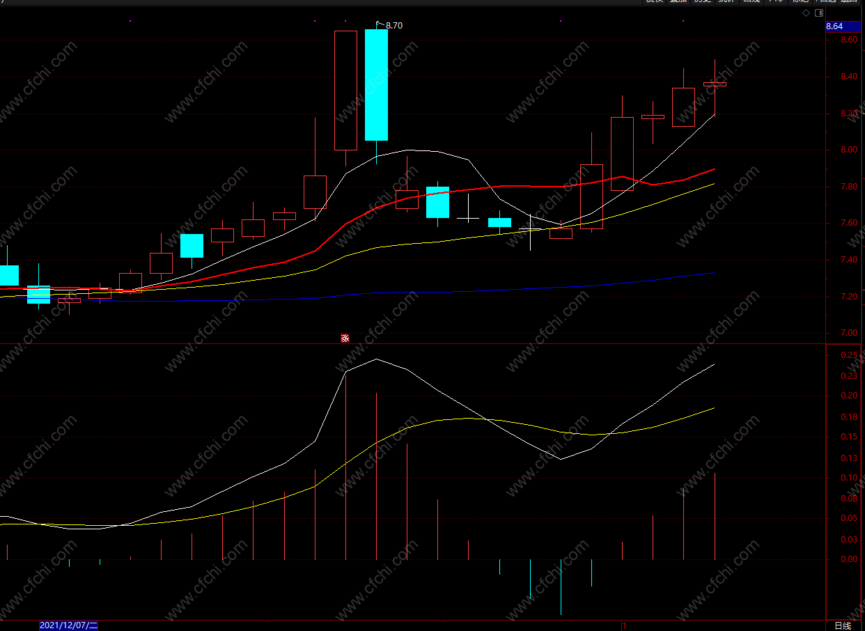 基本面指标选股