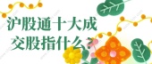 沪股通十大成交股指什么?