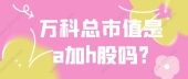 万科总市值是a加h股吗?