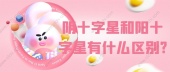阴十字星和阳十字星有什么区别?