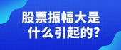 股票振幅大是什么引起的?