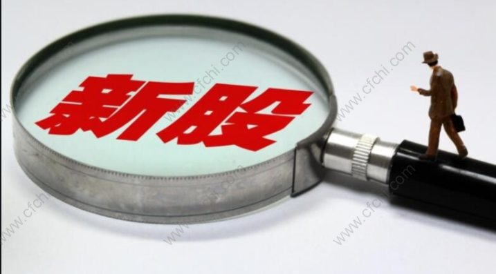 新股申购可以申购多少股