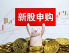 股市中新股申购最佳时间技巧