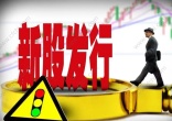 公开发行啥意思
