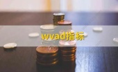 wvad指标公式源码