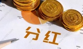 分红派息是什么意思