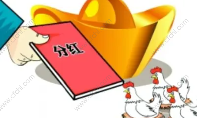 分红派息怎么计算收益率