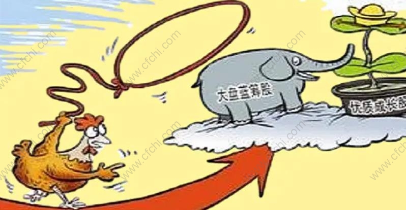 价值型股票和成长型股票区别