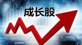 什么叫成长型股票