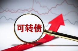 可转债基金