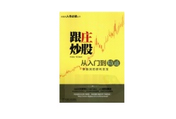 跟庄炒股从入门到精通（股票书籍）