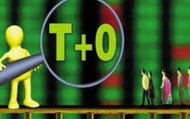 股票T+0交易
