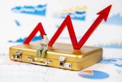 合格境外机构投资者