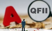 qfii基金是公募基金吗？