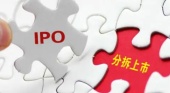 什么是整体上市和分拆上市?