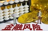 金融股的投资风险有那些？