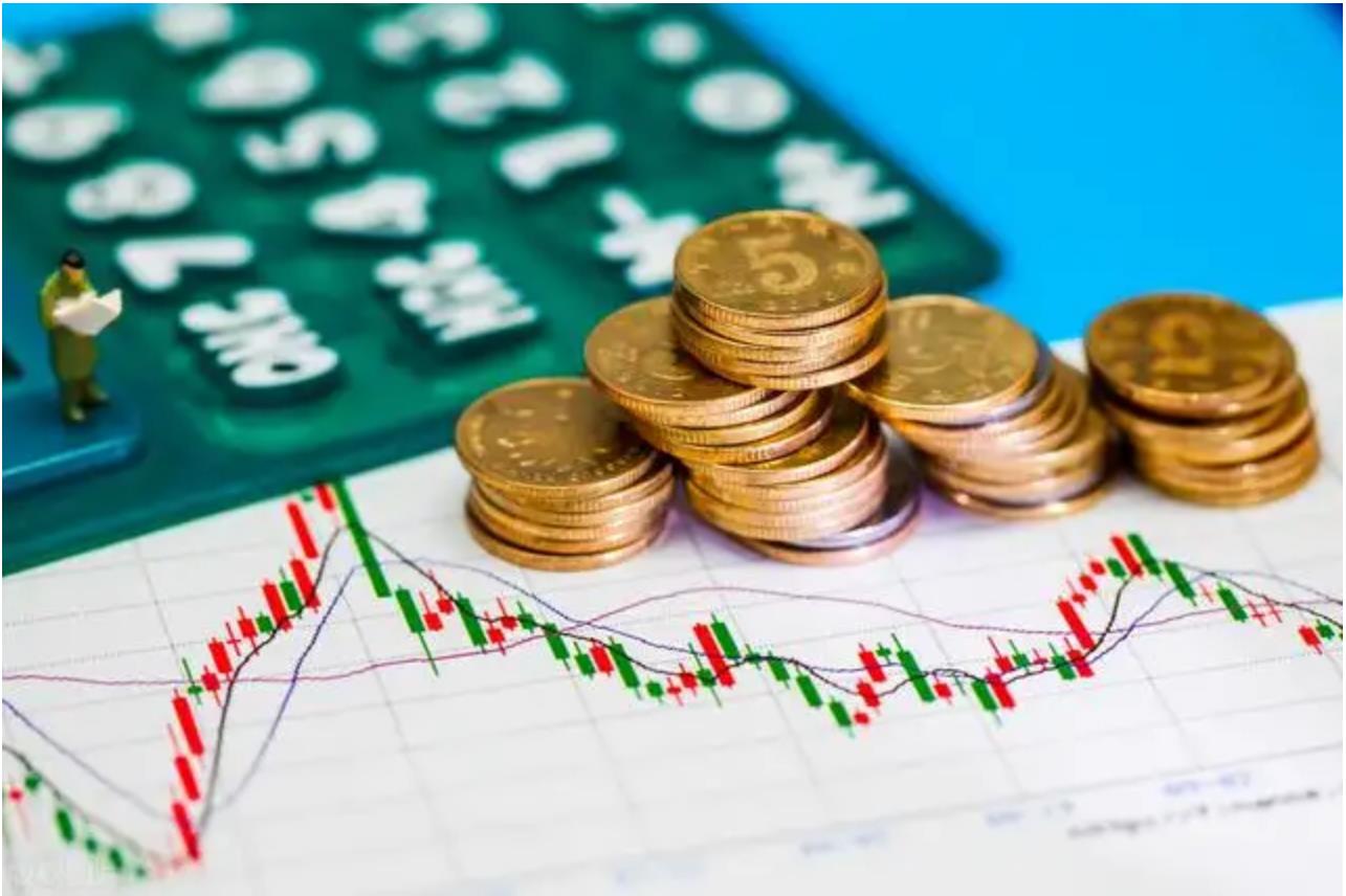 股东权利的种类？