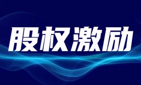 股票期权激励计划