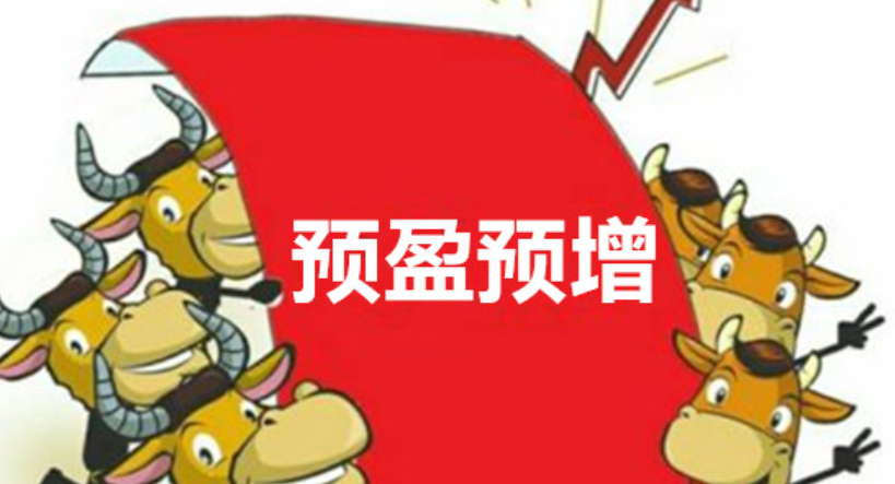 股票中的预盈预增是指的什么？
