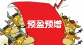 股票中的预盈预增是指的什么？