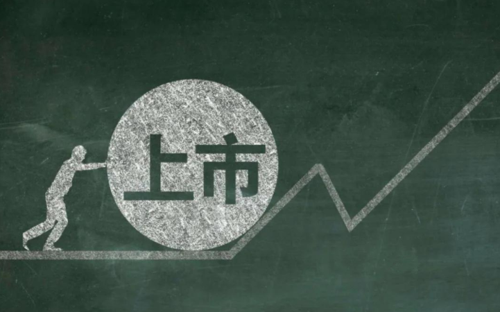 整体上市的定义？