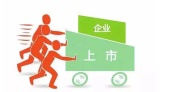 整体上市流程？