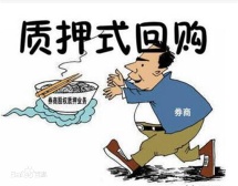 质押式回购