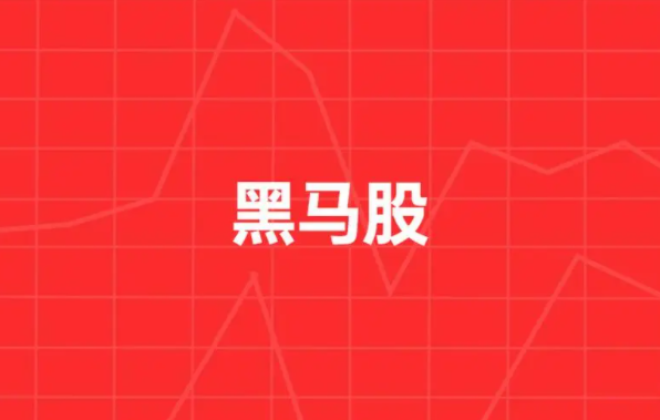 黑马股票是什么?