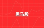 黑马股票是什么?