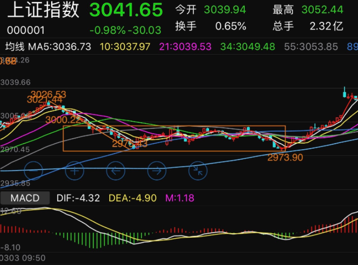 公司被借壳上市前的股票能买吗?