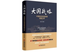 大国战略：中国经济宏观发展战略分析（股票书籍）