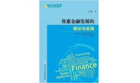 惠普金融发展的理论与实践（股票书籍）