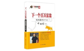 下一个百万富翁：每周赢利3个点（股票书籍）
