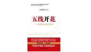 五线开花1：稳操股市胜券的密码（股票书籍）