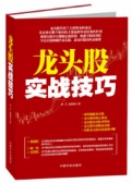 龙头股实战技巧（股票书籍）